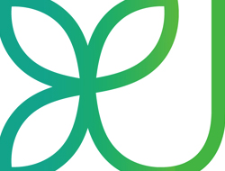 Fleuris Group Consulting Logo